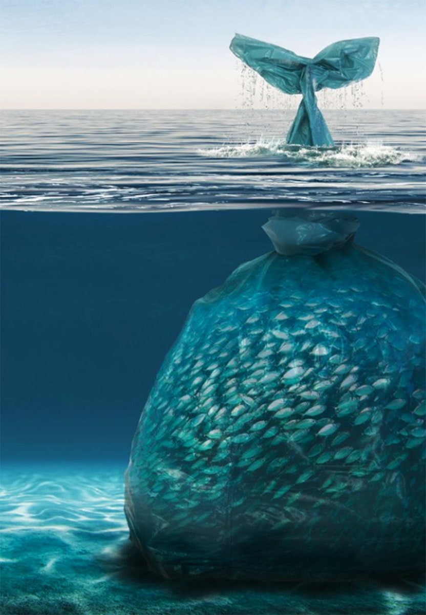 A giant plastic bag in the ocean containing fish